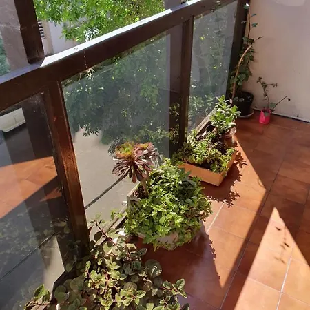 Apartamento Departamento Cerca De La Playa Mar del Plata Exterior foto